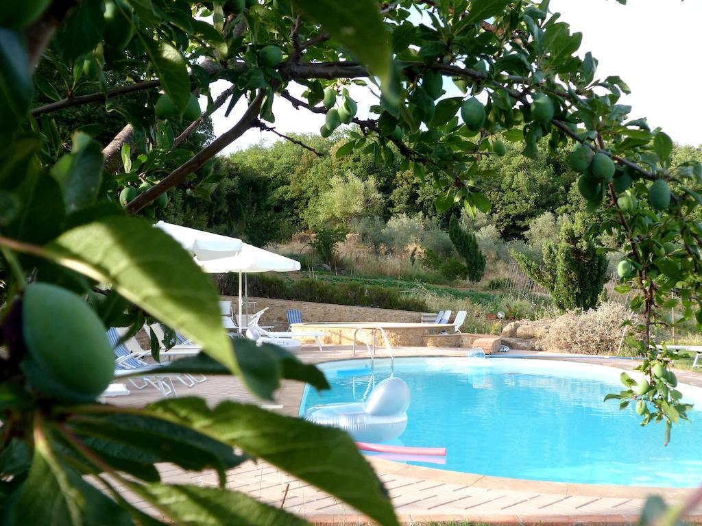 Agriturismo Apparita Montecastelli Pisano Exterior photo
