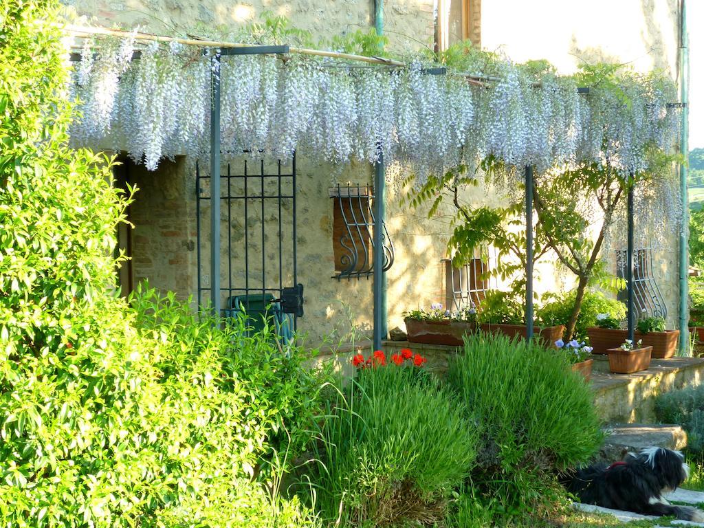 Agriturismo Apparita Montecastelli Pisano Exterior photo